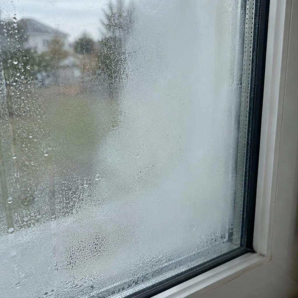 Foggy window panes